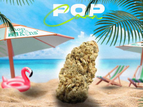 POP CORN III