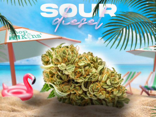 SOUR DIESEL III